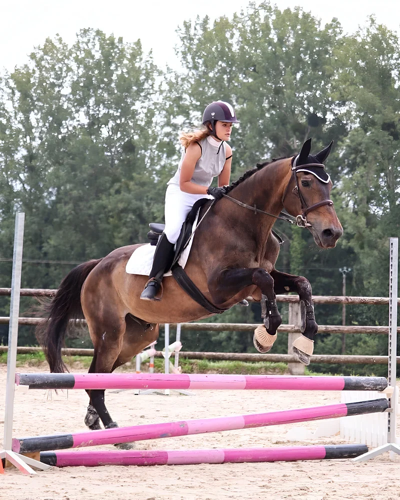 Haras Du Cercle Td Polo Team Centre Equestre Saint Gatien Des Bois Centre Equestre 1