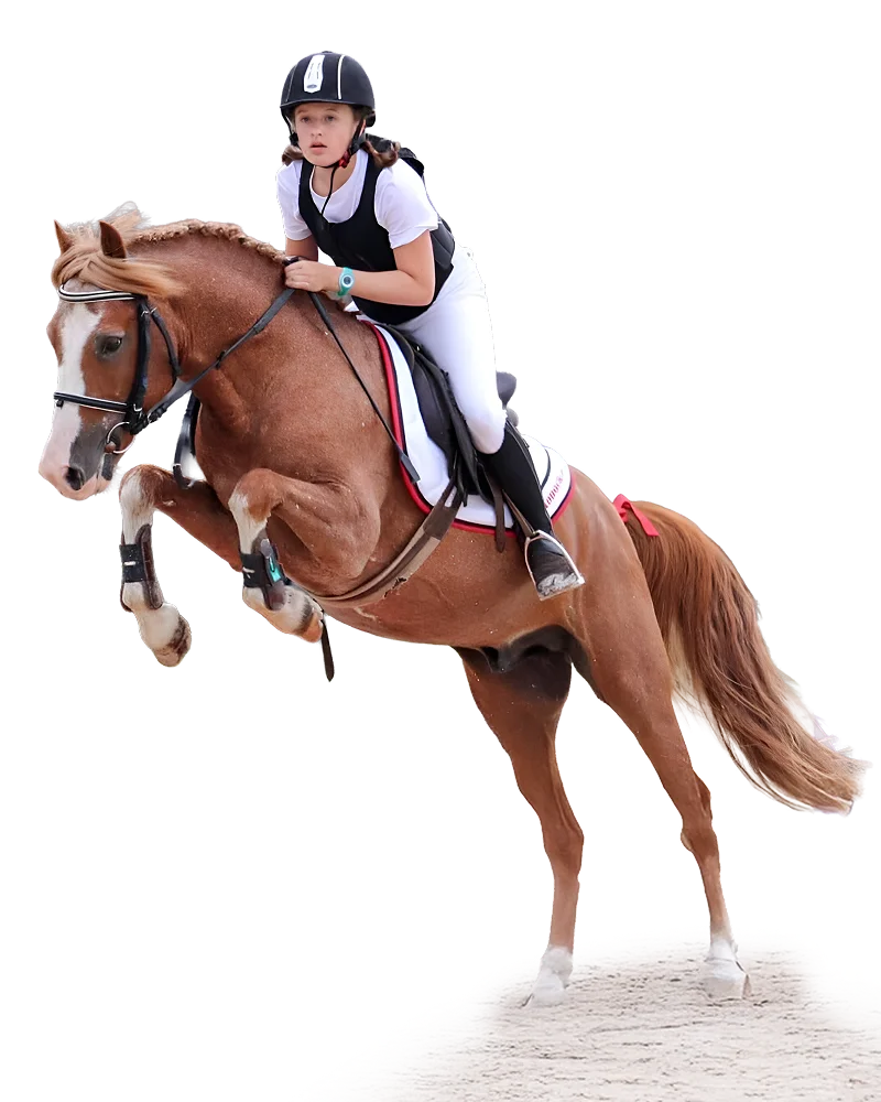 Haras Du Cercle Td Polo Team Centre Equestre Saint Gatien Des Bois Nos Actualites 1