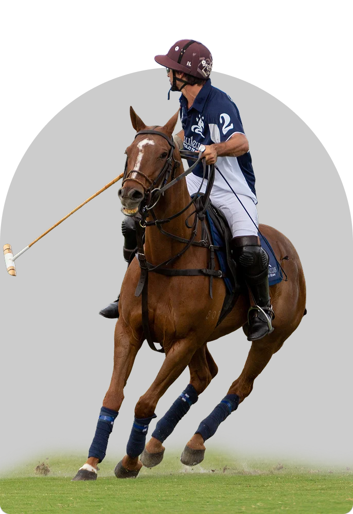 Haras Du Cercle Td Polo Team Centre Equestre Saint Gatien Des Bois Nos Points Forts