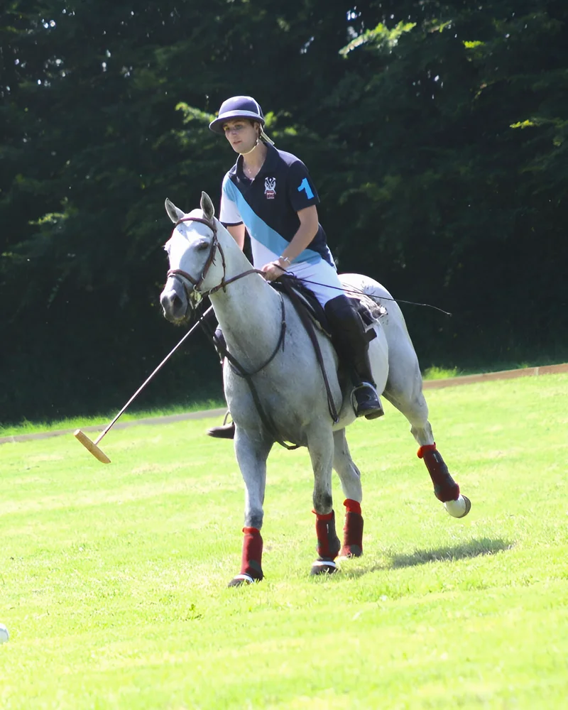 Haras Du Cercle Td Polo Team Centre Equestre Saint Gatien Des Bois Polo