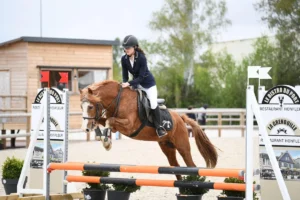 Haras Du Cercle Td Polo Team Centre Equestre Saint Gatien Des Bois Realisation 15 1