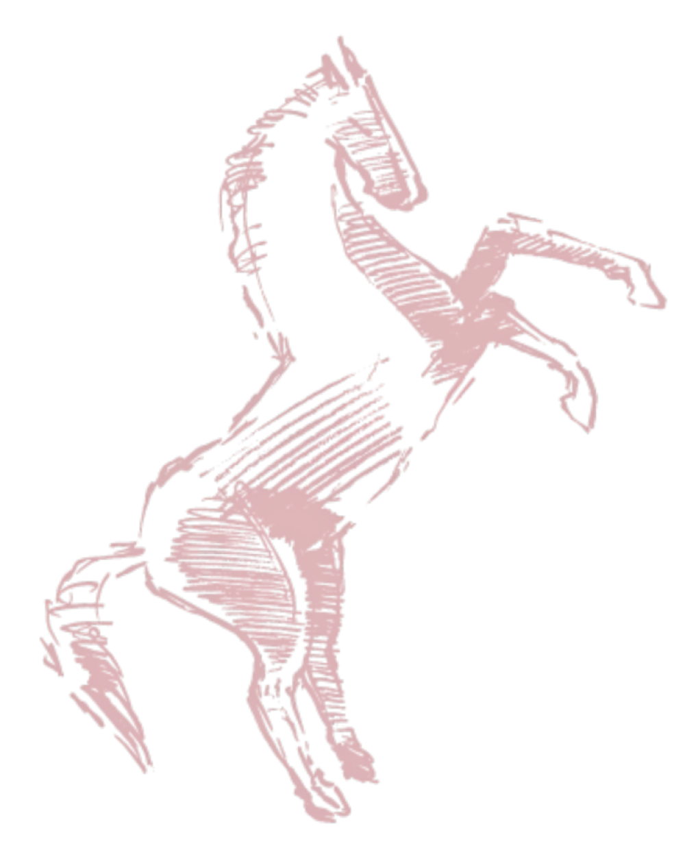 Haras Du Cercle Td Polo Team Centre Equestre Saint Gatien Des Bois Bckg Tarif 1